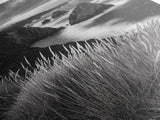 Coastal Cliffs, Ocean Rocks, Tall Grass, Canvas Print, Windswept Landscape Art, Beach House Wall Decor, Monochrome Nature Scene