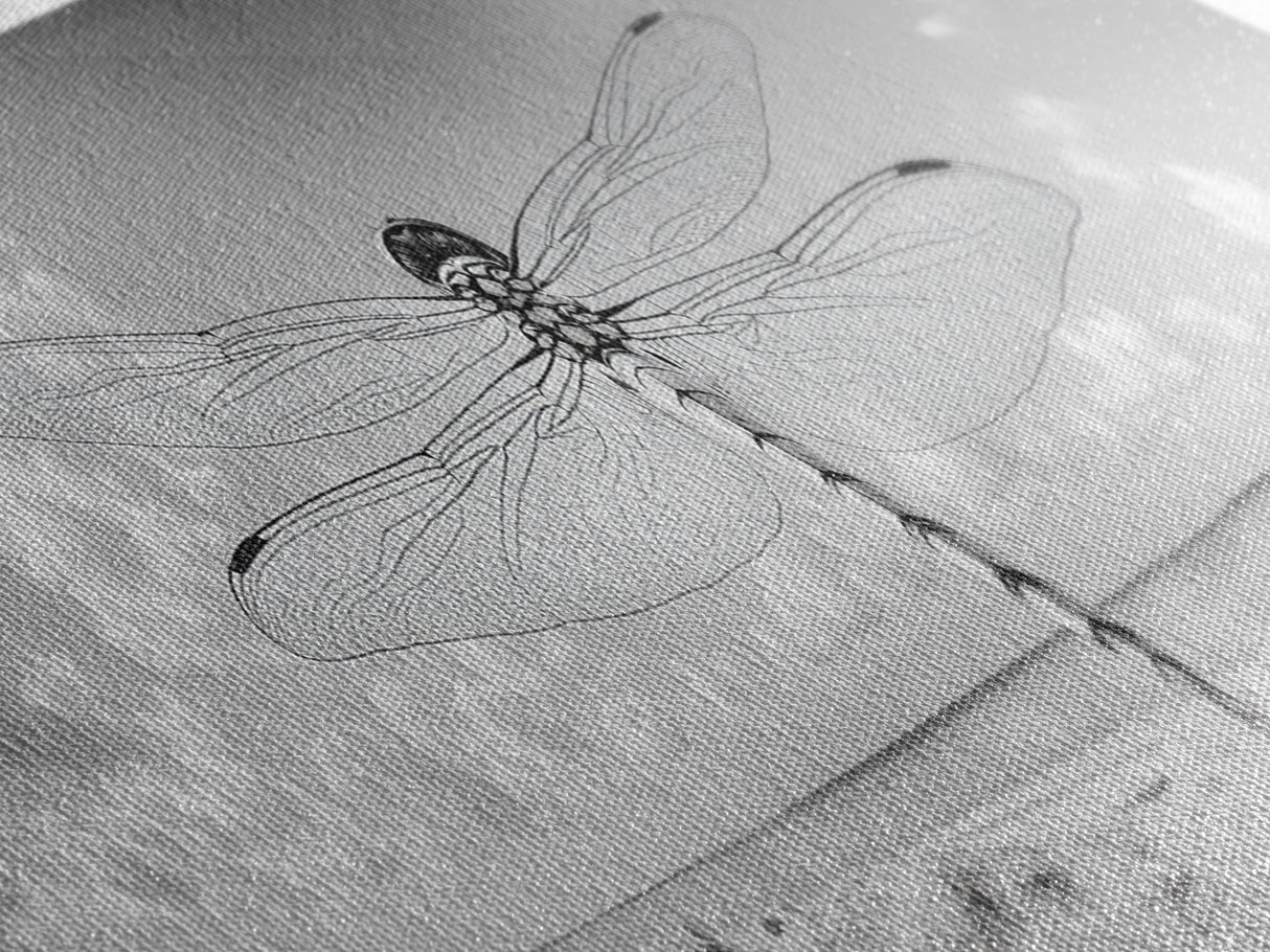 Dragonfly Beach Art, Detailed Insect Wings, Nature Wall Decor, Framed Canvas Print, Boho Bedroom Art, Minimal Wildlife Photography