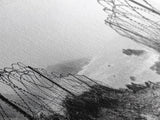 Barbed Coast, Foggy Beach, War Fence, Ocean Boundary, Framed Canvas Print, Industrial Wall Art, Living Room Decor, Black and White Art