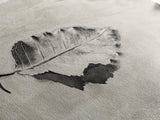 Autumn Leaf, Water Reflection, Nature Minimalism, Floating Stillness, Framed Canvas Print, Fall Wall Art, Neutral Tones, Bathroom Decor