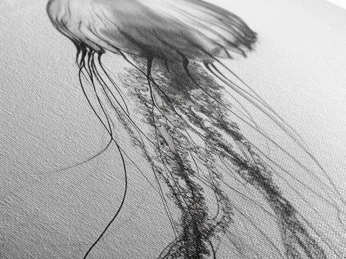 Jellyfish, Ocean Flow, Underwater Beauty, Canvas Print, Marine life wall decor, Coastal bathroom art, Minimalist ocean art, Black and white