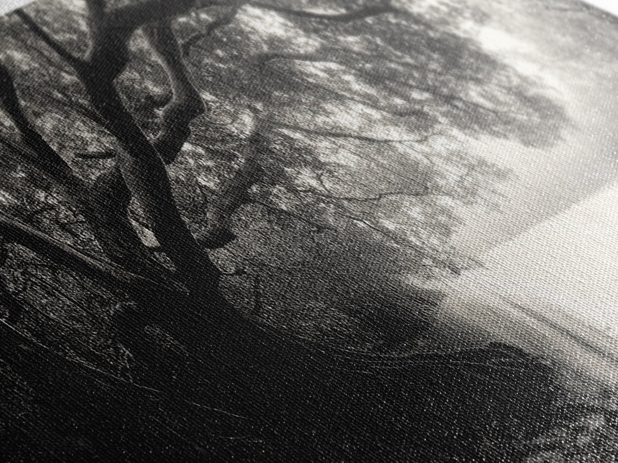 Mangrove Forest, River Flow, Rooted Stillness, Canvas Print, Zen Office Decor, Moody Jungle Art, Monochrome Nature Print