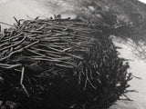 Beaver Dam, Nature Structure, Quiet Creek, Reflection Art, Framed Canvas Print, Cabin Wall Art, Rustic Decor, Woodland Black and White Art