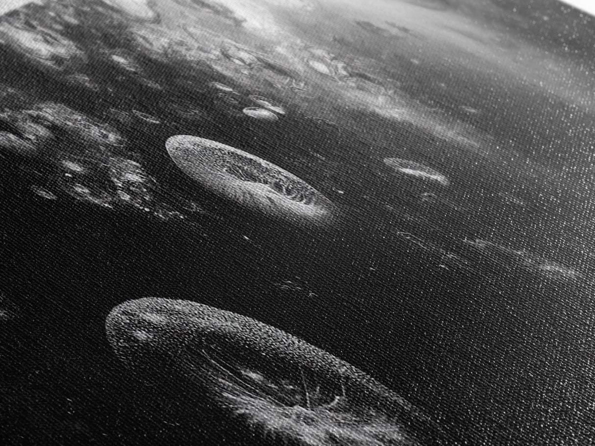 Jellyfish Dreams, Ocean Depths, Abstract Motion, Canvas Print, Coastal Bathroom Art, Nautical Theme, Moody Black and White Sea Life