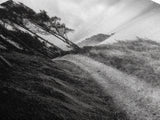 Coastal Trail, Forest Edge, Serene Path, Canvas Print, Black and White Nature Art, Entryway Wall Art, Tranquil Landscape, Moody Decor