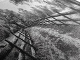 Tree Tunnel, Country Path, Fence Shadows, Framed Canvas Print, Black and White Nature Art, Rustic Wall Art, Autumn Entryway Decor