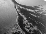 Ancient Roots, Submerged Tree, Nature Photography, Black and White, Canvas Print, Minimalist Underwater Art, Office Wall Art, Moody Decor