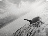 Ocean Sunset Orca, Tranquil Whale Scene, Marine Wildlife, Canvas Print, Minimalist Bathroom Decor, Coastal Bedroom Wall Art