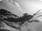 Forest Edge Beach, Coastal Sandscape, Sunset Sky, Canvas Print, Black and White Landscape, Coastal Living Room Art, Natural Vibes