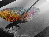 Rainbow Wings, Close Up, Dragonfly Beauty, Nature Macro – Canvas Print, Boho Wall Art, Nursery Decor, Insect Photography, Colorful Accent