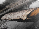Floating Log, Woodland Print, Nature Photography, Rustic Home Decor, Canvas Print, Cabin Wall Art, Minimalist Lake House Style