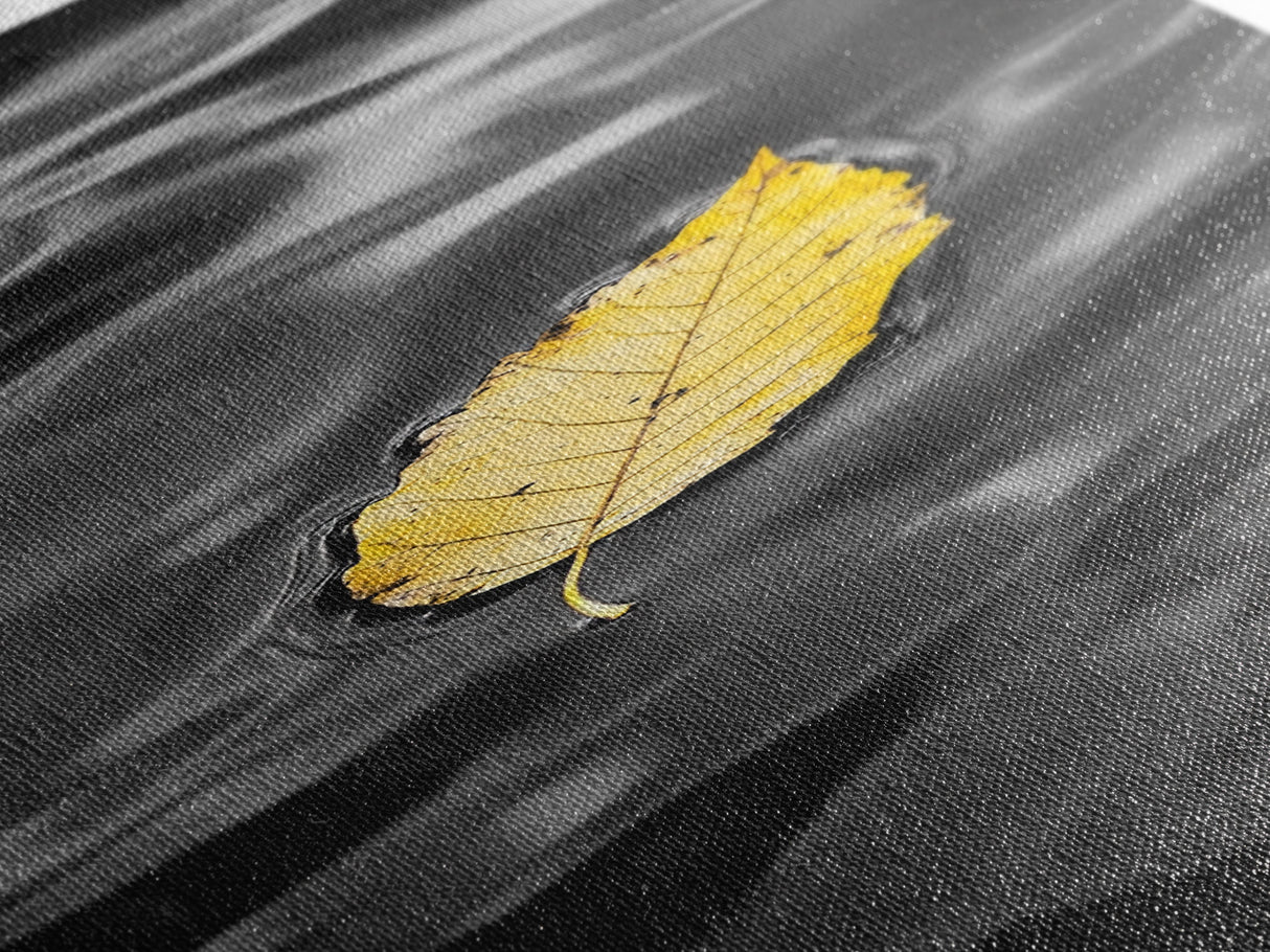 Yellow Leaf, Floating Leaf, Autumn Water Art, Nature Minimalism, Canvas Print, Zen Decor, Bathroom Wall Art, Fall Inspired Artwork