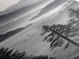 Foggy Mountains, Pine Forest, Valley Mist, Calm Landscape, Canvas Print, entryway wall art, cozy cabin vibes, grayscale art style