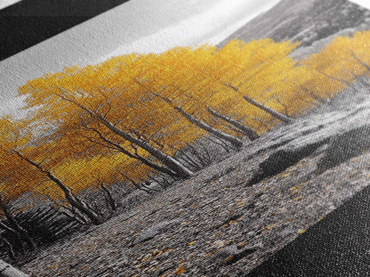 Golden Aspens, Fall Forest, Mountain Trees, Framed Canvas Print, Autumn Wall Art, Nature Cabin Decor, Fall Foliage, Rustic Living Room