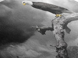 Eagle, Branch, Storm, Power and grace collide in this Framed Canvas Print of a majestic eagle perched before a storm, Living Room Wall Art
