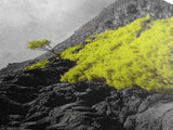 Lone Tree Lava, Surreal Earth Tones Decor, Abstract Volcanic Art, Black and Yellow Landscape, Canvas Print, Boho Living Room Accent