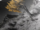 Golden Tree, Desert Landscape, Monochrome Background, Framed Canvas Print, Autumn Wall Art, Southwest Decor, Modern Boho Art Vibe