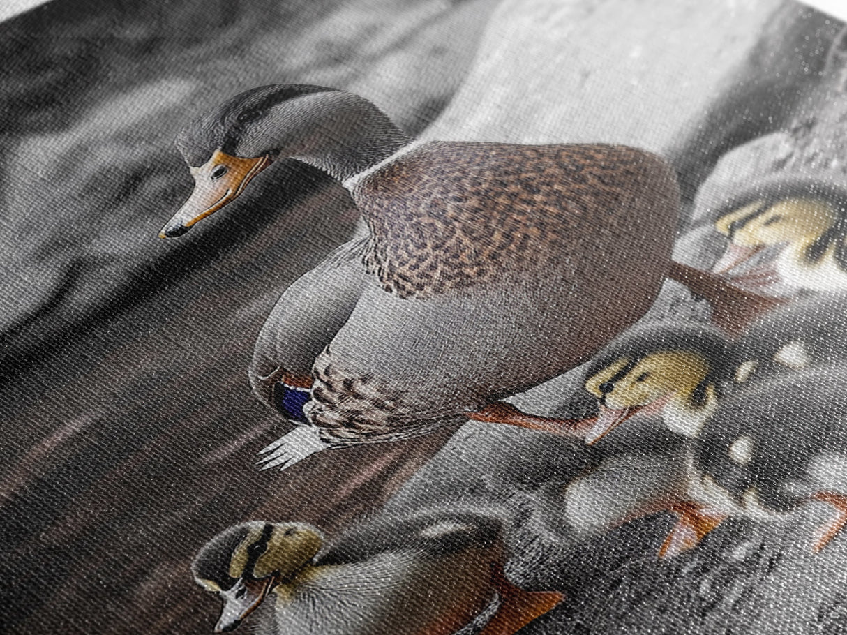 Duck Family, Nature Wildlife, Adorable Ducklings, Framed Canvas Print, Nursery Animal Wall Art, Cozy Farmhouse Decor, Fall Art Print