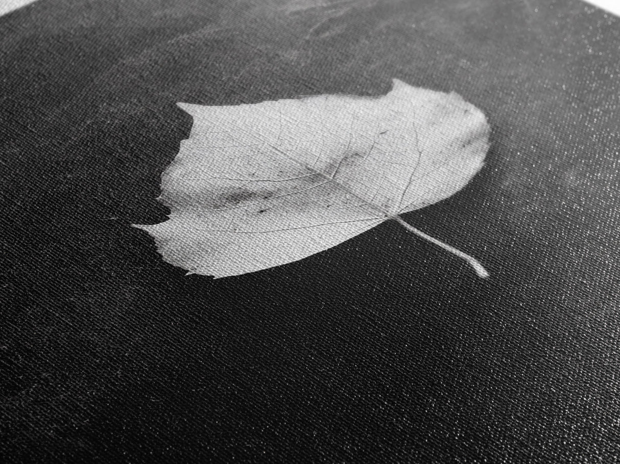 Monochrome Leaf, Nature Minimal, Still Life, Moody Art, Framed Canvas Print, Fall Wall Art, Kitchen Decor, Neutral Modern Aesthetic