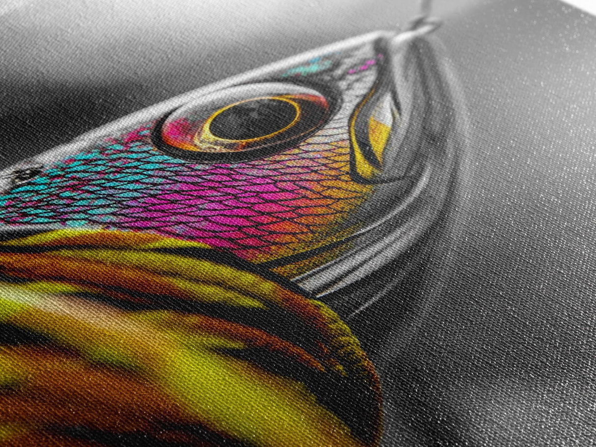 Colorful Lure, Fishing Hook, Bold Scales, Rainbow Detail, Framed Canvas Print, Man Cave Art, Fishing Decor, Vibrant Realism Wall Art