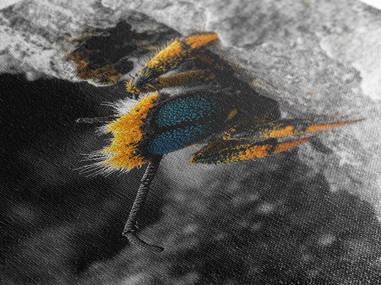 Fuzzy Bee Closeup, Insect Macro, Nature Texture, Framed Canvas Print, Wildlife Wall Art, Entomology Decor, Nature Photography