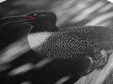 Loon Call, Singing Bird, Red Beak, Monochrome Framed Canvas Print, Wildlife Wall Decor, Bird Lover Wall Art, Rustic Cabin Accent