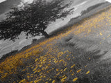 Yellow Meadow, Tree Path, Sunny Flowers, Autumn Framed Canvas Print, Field Landscape Wall Art, Nature Lover Decor, Boho Fall Vibes