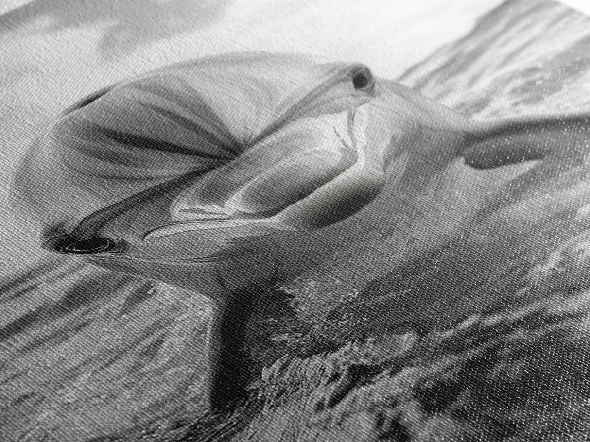 Dolphin Splash, Ocean Encounter, Monochrome Wildlife, Canvas Print, Coastal Wall Art, Bathroom Decor, Marine Animal Photography