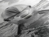 Dolphin Splash, Ocean Encounter, Monochrome Wildlife, Canvas Print, Coastal Wall Art, Bathroom Decor, Marine Animal Photography