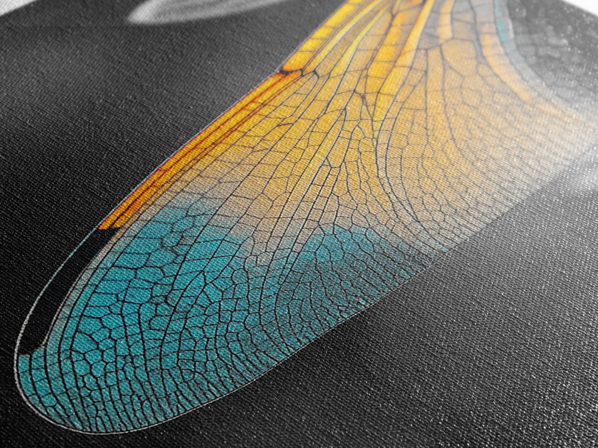 Wing Detail, Colorful Insect, Macro Nature, Blue Orange Wing, Framed Canvas Print, Natural Science Art, Entomology Wall Accent