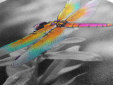 Rainbow Dragonfly, Vibrant Bug, Botanical Contrast, Framed Canvas Print, Nature Inspired Art, Bedroom Wall Decor, Whimsical Garden Accent