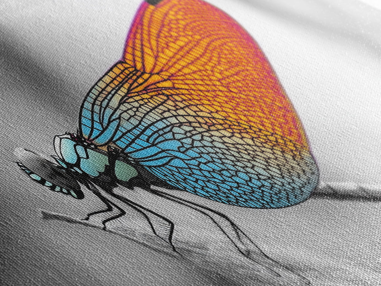 Closeup Dragonfly, Colorful Wings, Abstract Nature, Macro Art — Framed Canvas Print, Living Room Decor, Botanical Wall Art, Modern Minimal