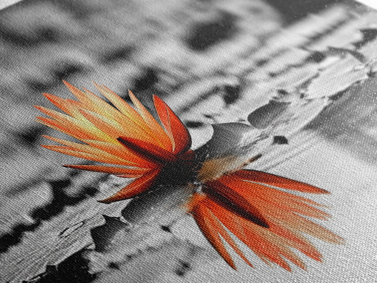 Tranquil Lotus, Zen Water, Orange Glow, Reflective Serenity, Framed Canvas Print, Bedroom Wall Art, Spa Decor, Boho Style, Meditation Vibe