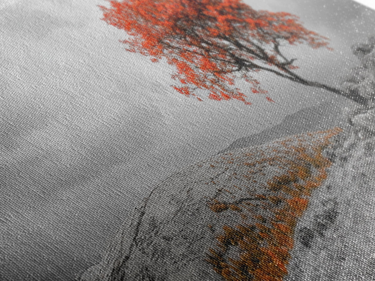 Red Tree, Hilltop Vista, Fall Landscape, Vibrant Nature, Framed Canvas Print, Autumn Wall Art, Living Room Nature Photography