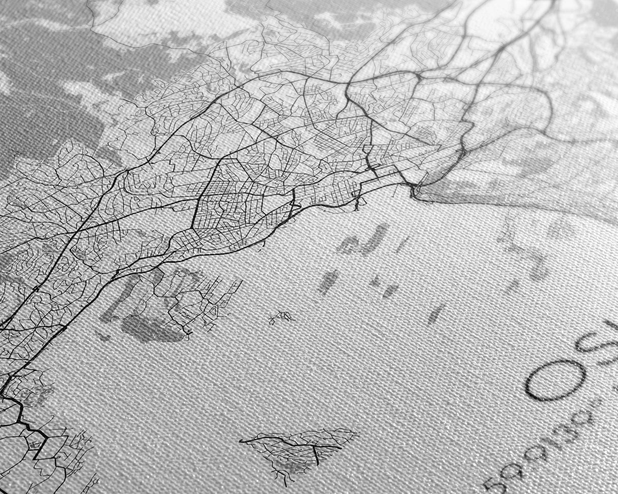 Oslo Street Map, Norway Map, Europe City Map Art, Modern Art, Wall Art, Canvas Print, Bedroom Art, Travelling Gifts, Travel Wall Décor
