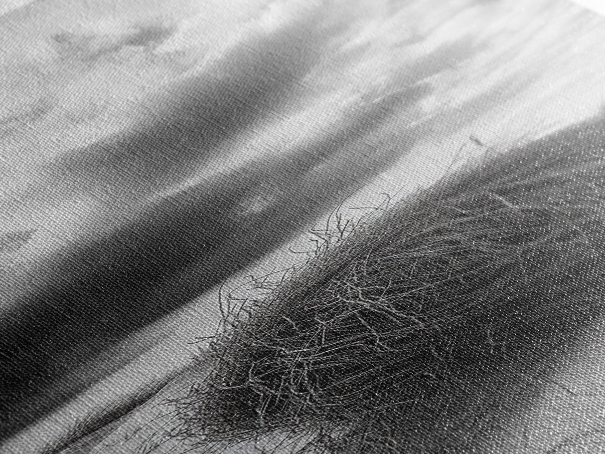 Tumbleweed Desert,Canvas Print, Rustic Southwest Wall Art, Moody Landscape Art, Extra Wide Art, Above Sofa Art, Farmhouse Decor