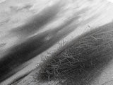 Tumbleweed Desert,Canvas Print, Rustic Southwest Wall Art, Moody Landscape Art, Extra Wide Art, Above Sofa Art, Farmhouse Decor