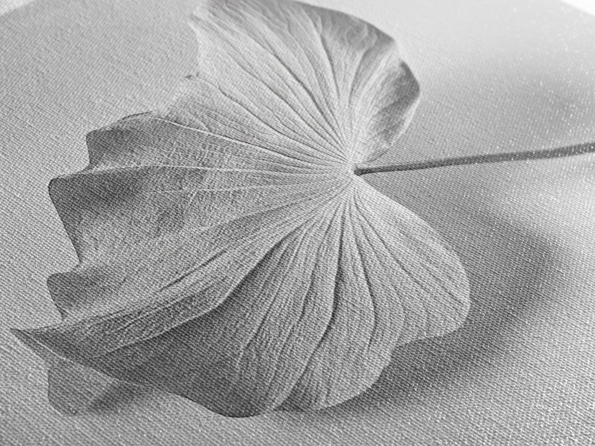 White Leaf, Botanical Prints, Minimalist Art, Wabi Sabi Wall Art, Monochrome Art, Modern Art, Living Room Art, Canvas Print