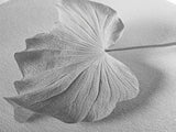White Leaf, Botanical Prints, Minimalist Art, Wabi Sabi Wall Art, Monochrome Art, Modern Art, Living Room Art, Canvas Print