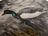 Loon Water Bird, Black and White Painting, Rustic Wildlife Art, Nature Wall Art, Lake House Decor, Framed Canvas Print, Extra Wide Art