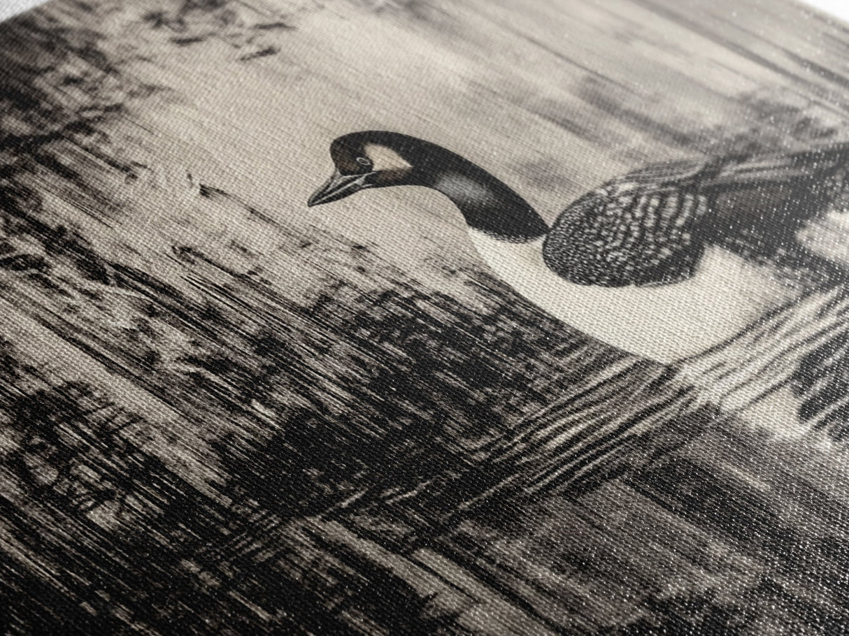 Loon Bird Art, Black and White Painting, Wildlife Wall Art, Rustic Decor, Framed Canvas Print, Lake House Art, Nature Lover Gift