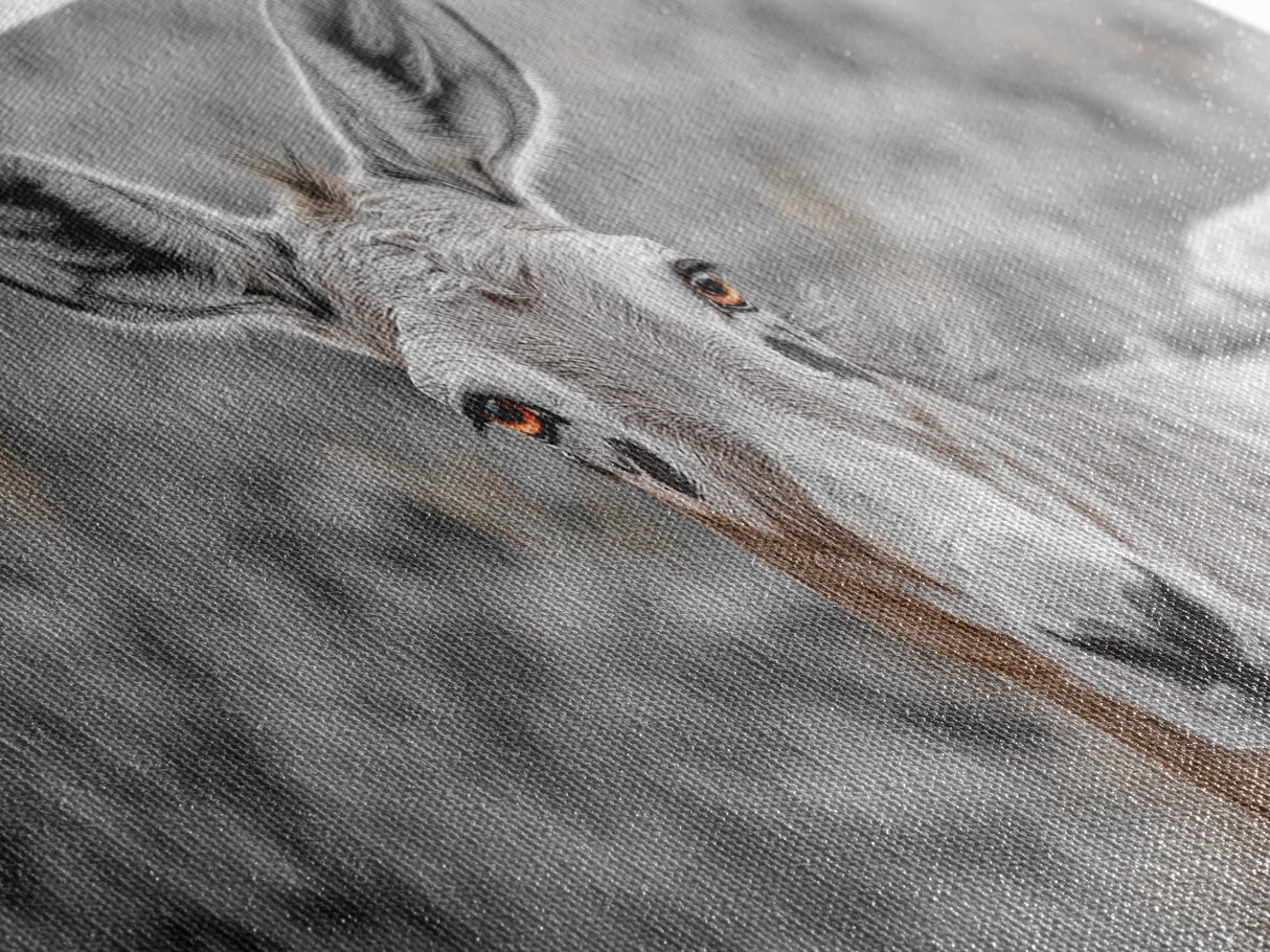 Donkey Close-Up Framed Canvas Print | Rustic Farmhouse Art | Moody Animal Portrait | Southwest Wall Art | Extra Wide Art | Above Couch Decor