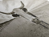 Longhorn, beach, western decor, rustic art, farmhouse art, extra wide art, above sofa art, panoramic painting, framed canvas print