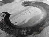 Horseshoe art, western decor, rustic wall art, wabi sabi wall art, moody photography, minimalist art, canvas print, living room art