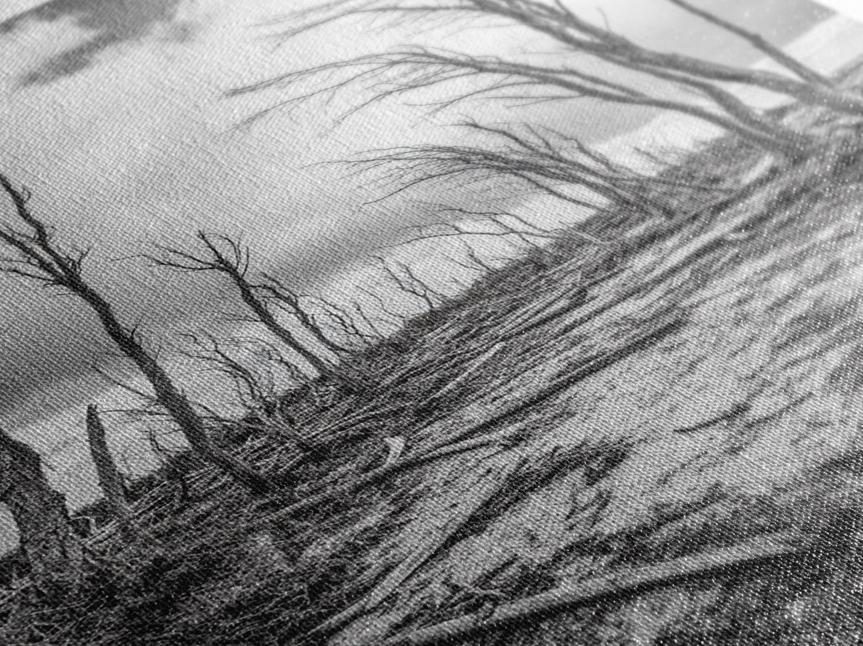 Windblown Trees, stormy sky, moody landscape, wabi sabi art, black and white, framed canvas print, rustic decor, nature photography