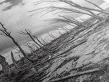 Windblown Trees, stormy sky, moody landscape, wabi sabi art, black and white, framed canvas print, rustic decor, nature photography