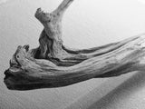 Driftwood Sculpture, wabi sabi art, rustic decor, minimalist art, botanical prints, farmhouse art, framed canvas print, living room art