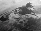 Horse wall art, wild mustangs, moody art, rustic decor, nature photography, black and white art, panoramic art, canvas print, living room art