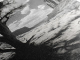 Desert landscape, Joshua tree art, western wall art, framed canvas print, southwest decor, black and white nature, rustic desert scene