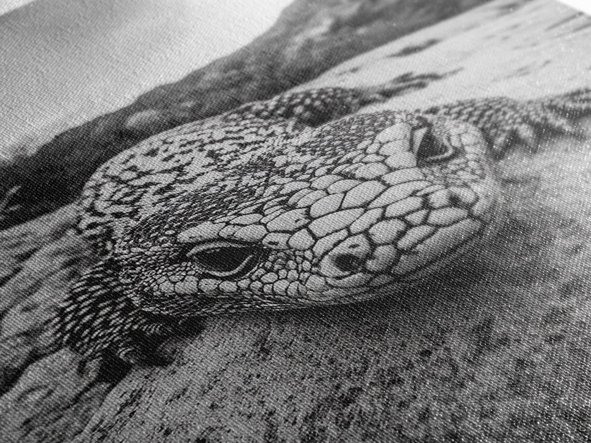 Lizard art, wildlife photography, moody art, desert decor, black and white photography, wabi sabi wall art, framed canvas print, unique gift